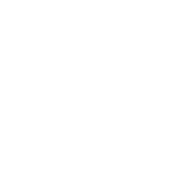 The Rausches Inside Out
